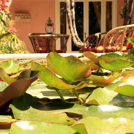 Appartement Antica Corte Delle Ninfee, Historical Private *