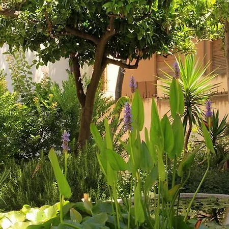 Appartamento Antica Corte Delle Ninfee, Historical Private Trapani